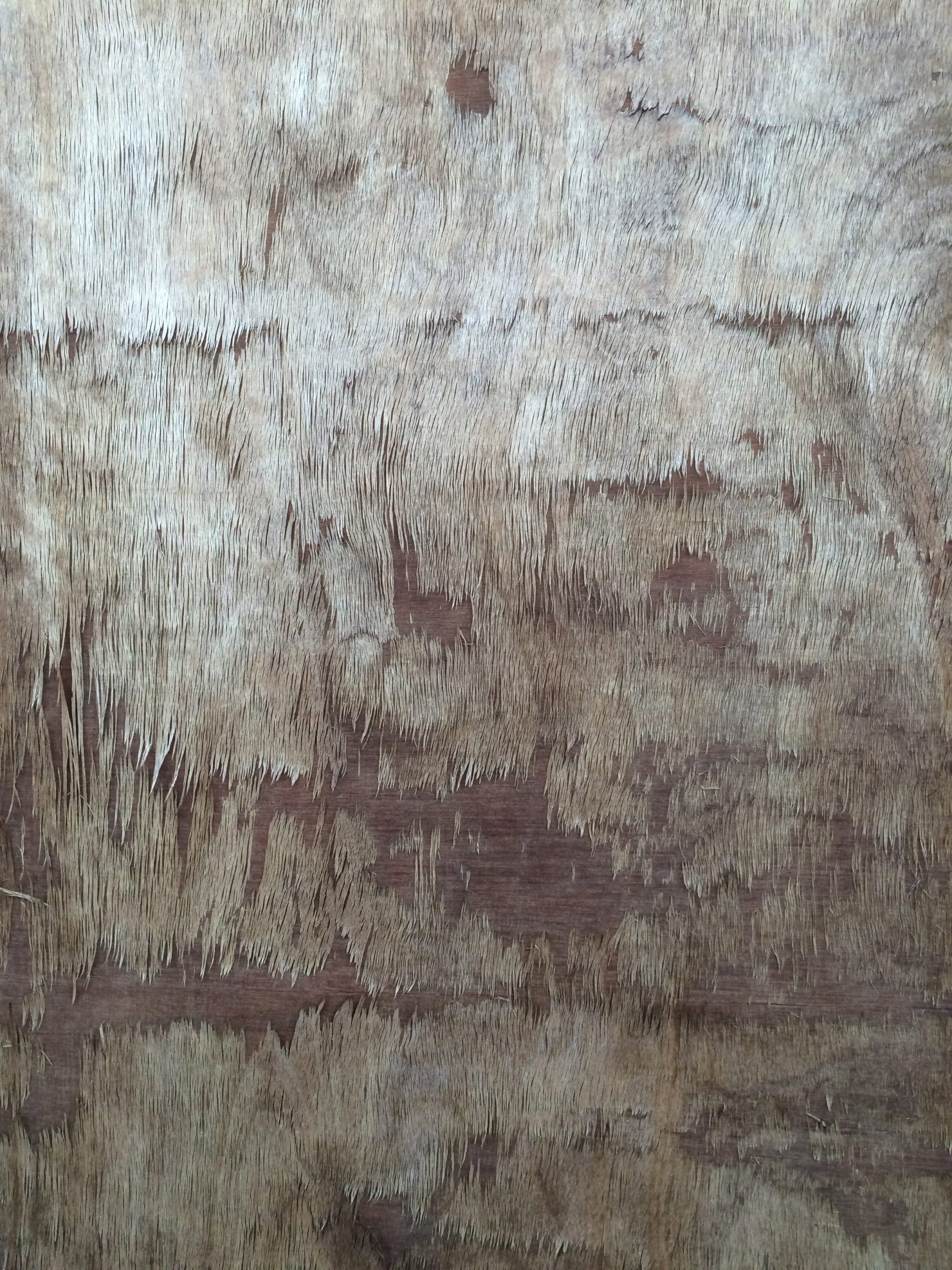 Texture 1